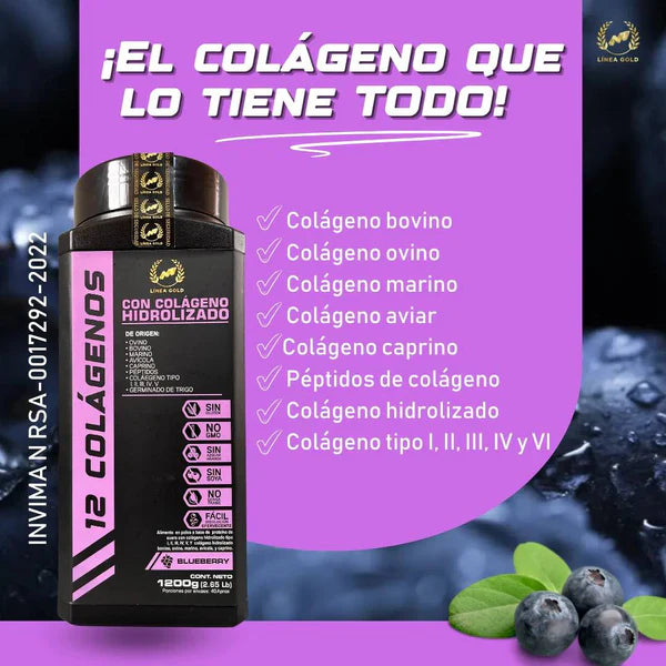 12 Colágenos Premium Ggp - ¡Rejuvenecimiento Total: Piel, Cabello, Uñas, Articulaciones y Huesos, en un Delicioso Sabor Blueberry!