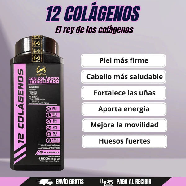 12 Colágenos Premium Ggp - ¡Rejuvenecimiento Total: Piel, Cabello, Uñas, Articulaciones y Huesos, en un Delicioso Sabor Blueberry!
